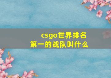 csgo世界排名第一的战队叫什么