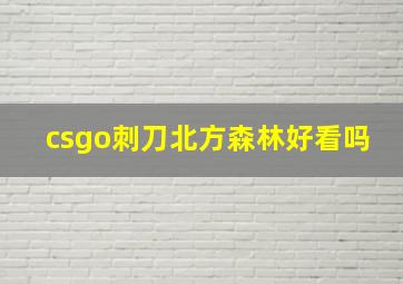 csgo刺刀北方森林好看吗