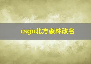 csgo北方森林改名