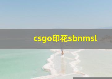 csgo印花sbnmsl