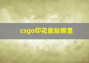 csgo印花能贴哪里