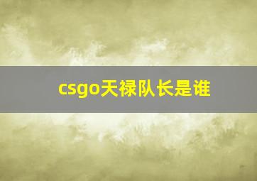 csgo天禄队长是谁