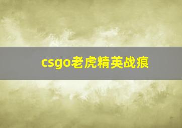 csgo老虎精英战痕