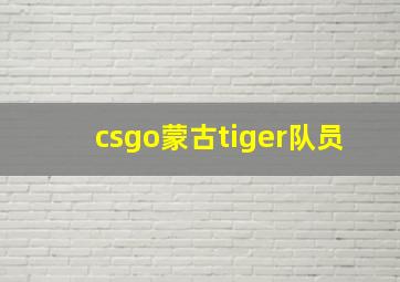 csgo蒙古tiger队员