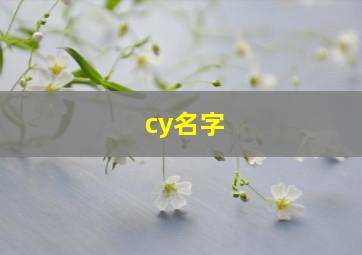 cy名字