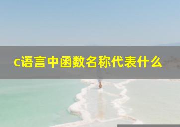 c语言中函数名称代表什么