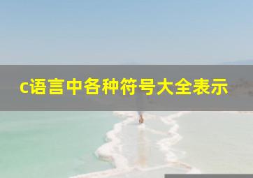 c语言中各种符号大全表示