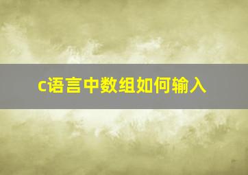 c语言中数组如何输入