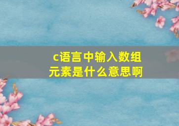 c语言中输入数组元素是什么意思啊