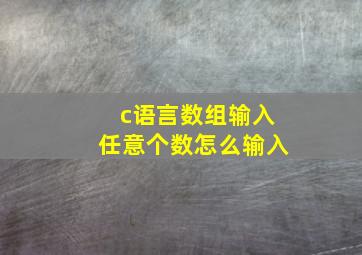 c语言数组输入任意个数怎么输入