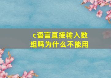 c语言直接输入数组吗为什么不能用