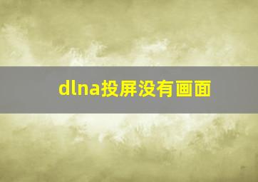 dlna投屏没有画面