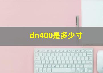 dn400是多少寸