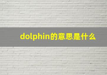 dolphin的意思是什么