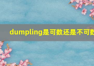 dumpling是可数还是不可数