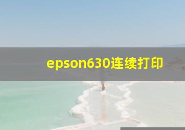 epson630连续打印