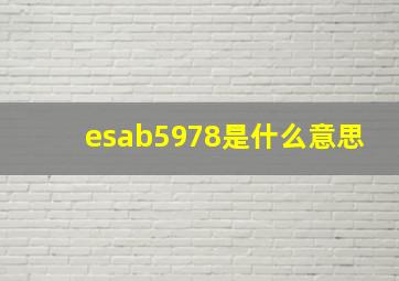 esab5978是什么意思