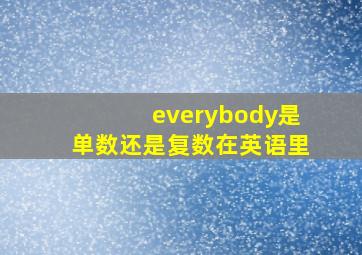 everybody是单数还是复数在英语里