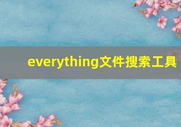 everything文件搜索工具