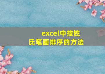 excel中按姓氏笔画排序的方法