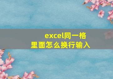 excel同一格里面怎么换行输入