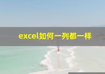 excel如何一列都一样