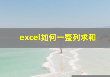 excel如何一整列求和