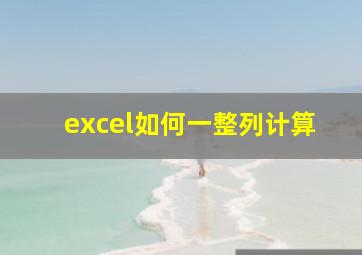 excel如何一整列计算