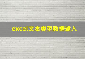 excel文本类型数据输入