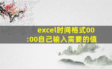 excel时间格式00:00自己输入需要的值