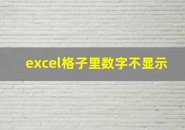 excel格子里数字不显示