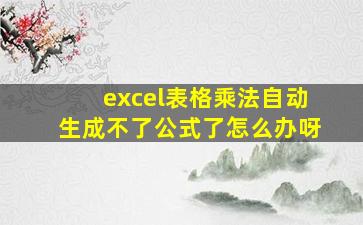 excel表格乘法自动生成不了公式了怎么办呀