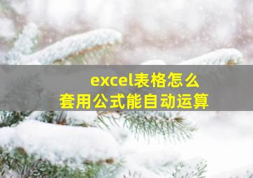 excel表格怎么套用公式能自动运算