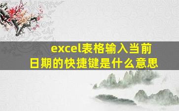 excel表格输入当前日期的快捷键是什么意思