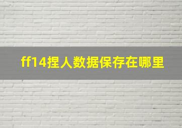 ff14捏人数据保存在哪里