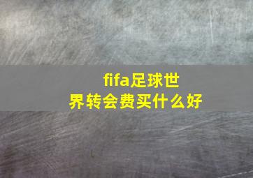 fifa足球世界转会费买什么好