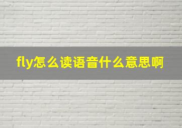 fly怎么读语音什么意思啊