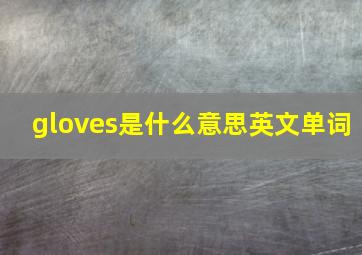 gloves是什么意思英文单词