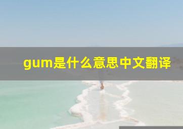 gum是什么意思中文翻译