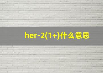 her-2(1+)什么意思