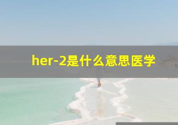 her-2是什么意思医学