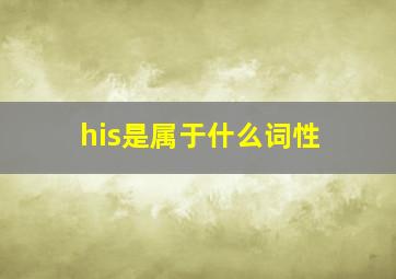 his是属于什么词性