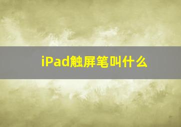 iPad触屏笔叫什么