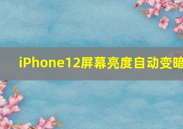 iPhone12屏幕亮度自动变暗