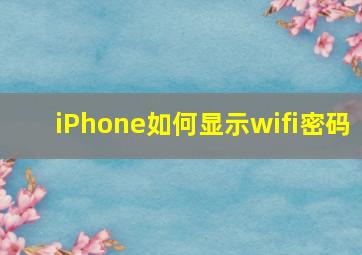 iPhone如何显示wifi密码