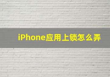 iPhone应用上锁怎么弄