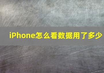 iPhone怎么看数据用了多少