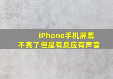 iPhone手机屏幕不亮了但是有反应有声音