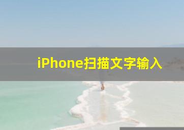 iPhone扫描文字输入