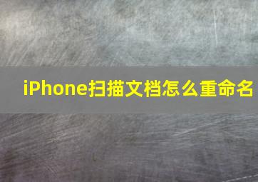 iPhone扫描文档怎么重命名